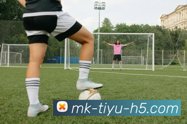 MK体育品牌故事