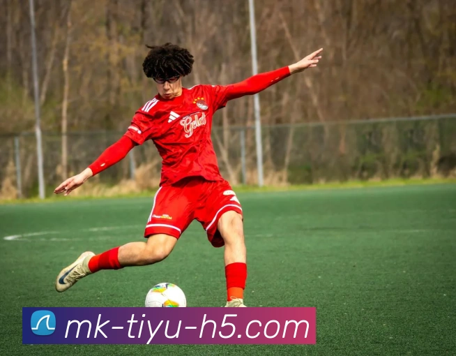 MK体育APP 体育赛事宣传图